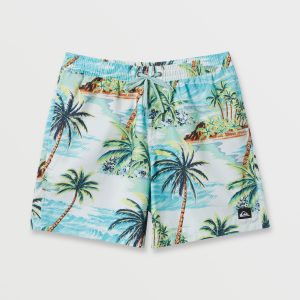 Everyday Mix 17 Swim Trunks - Beach Glass