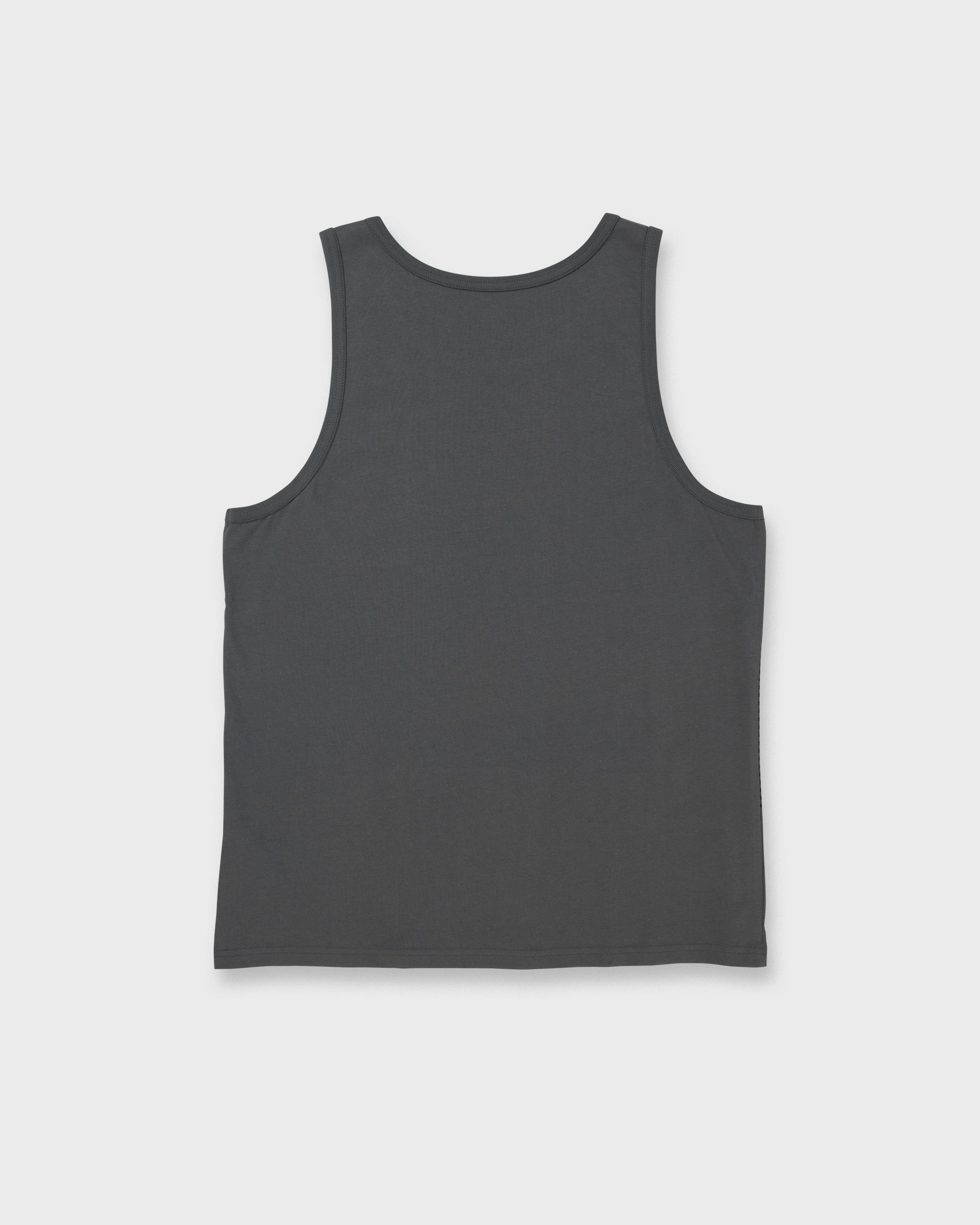 Tijuana Striped Tank - Iron Gate - Image 7