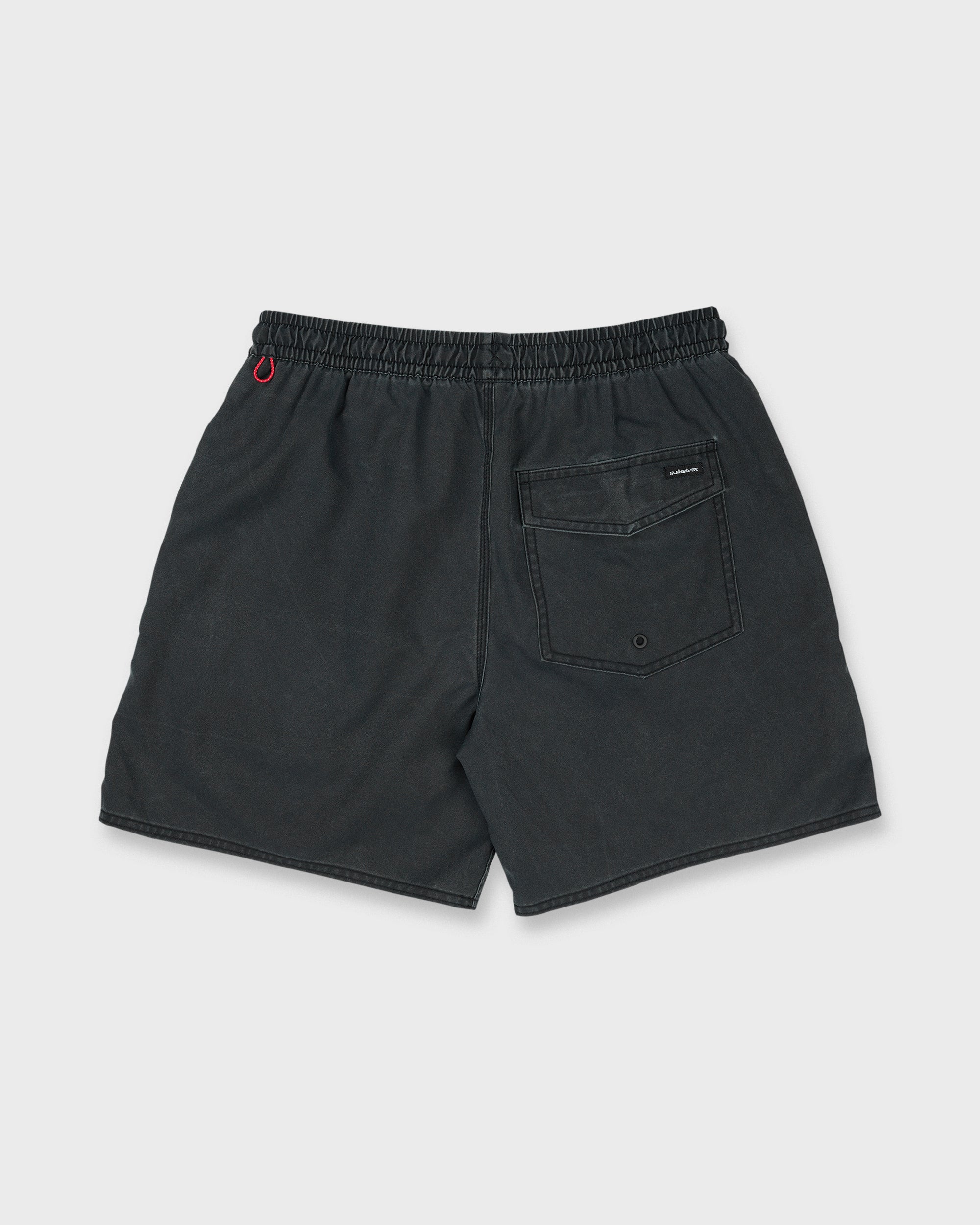 Saltwater 17 Swim Trunks - Anthracite - Image 7
