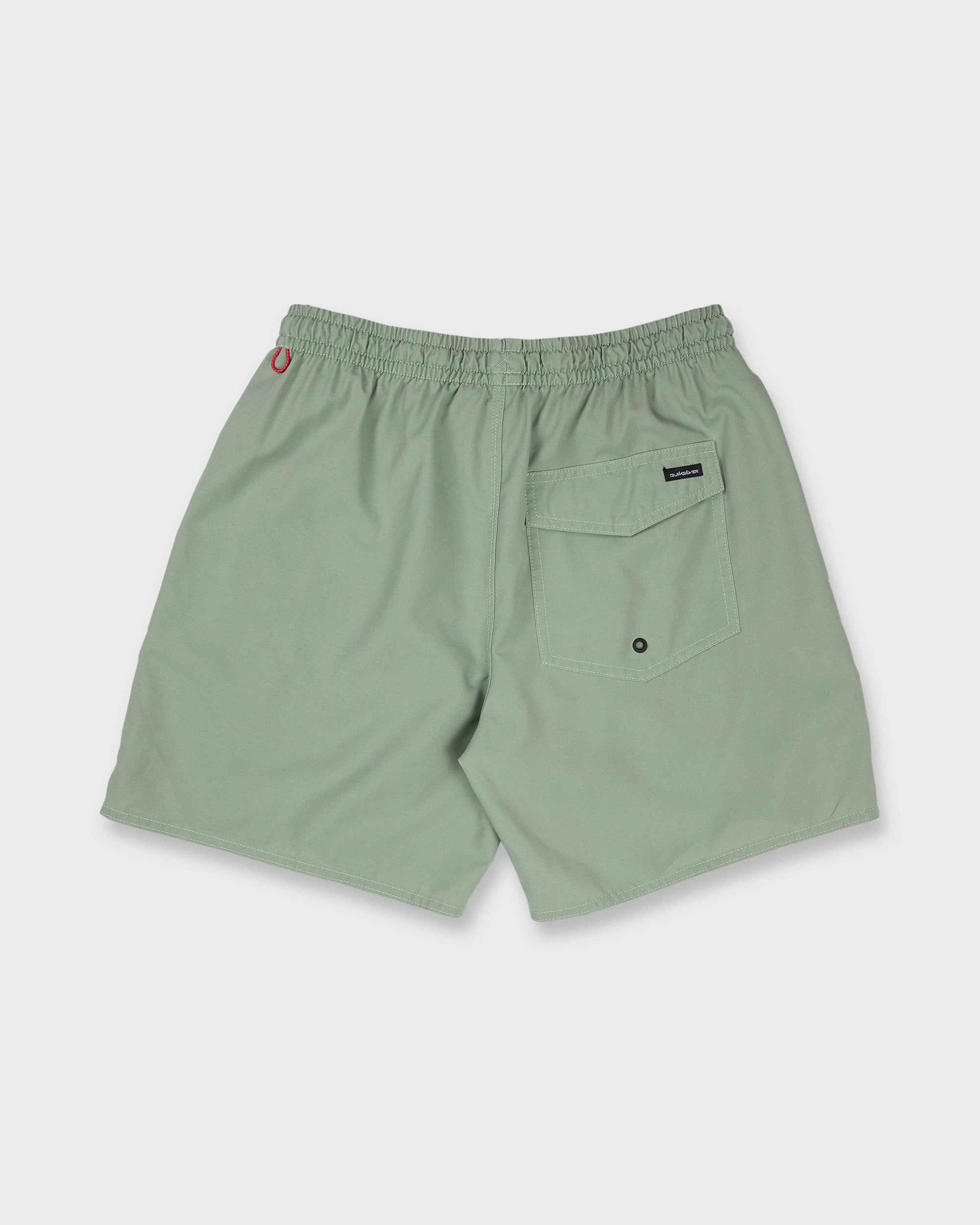 Saltwater 17 Swim Trunks - Lily Pad - Image 7