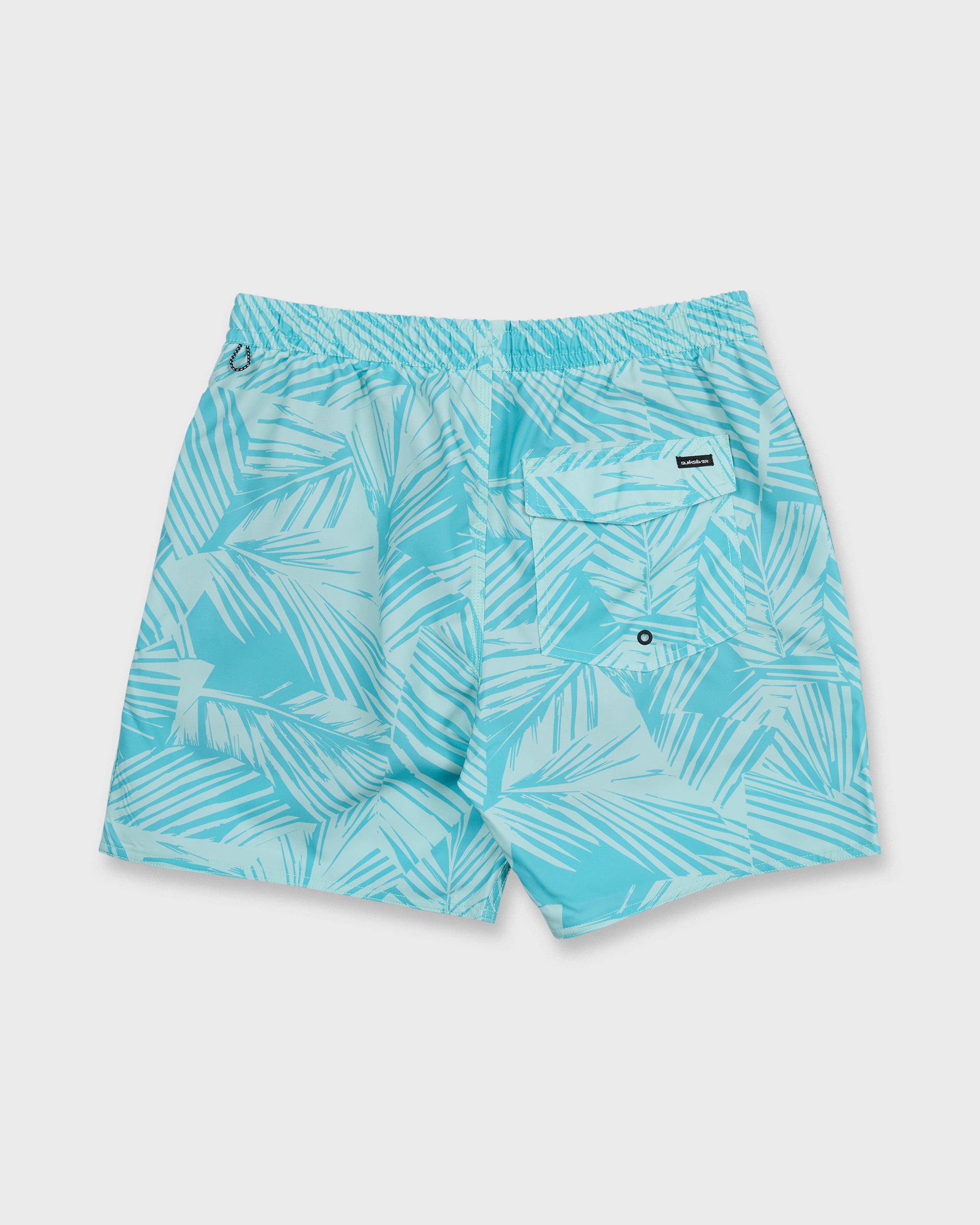 Mix Volley 17 Swim Trunks - Aqua - Image 2