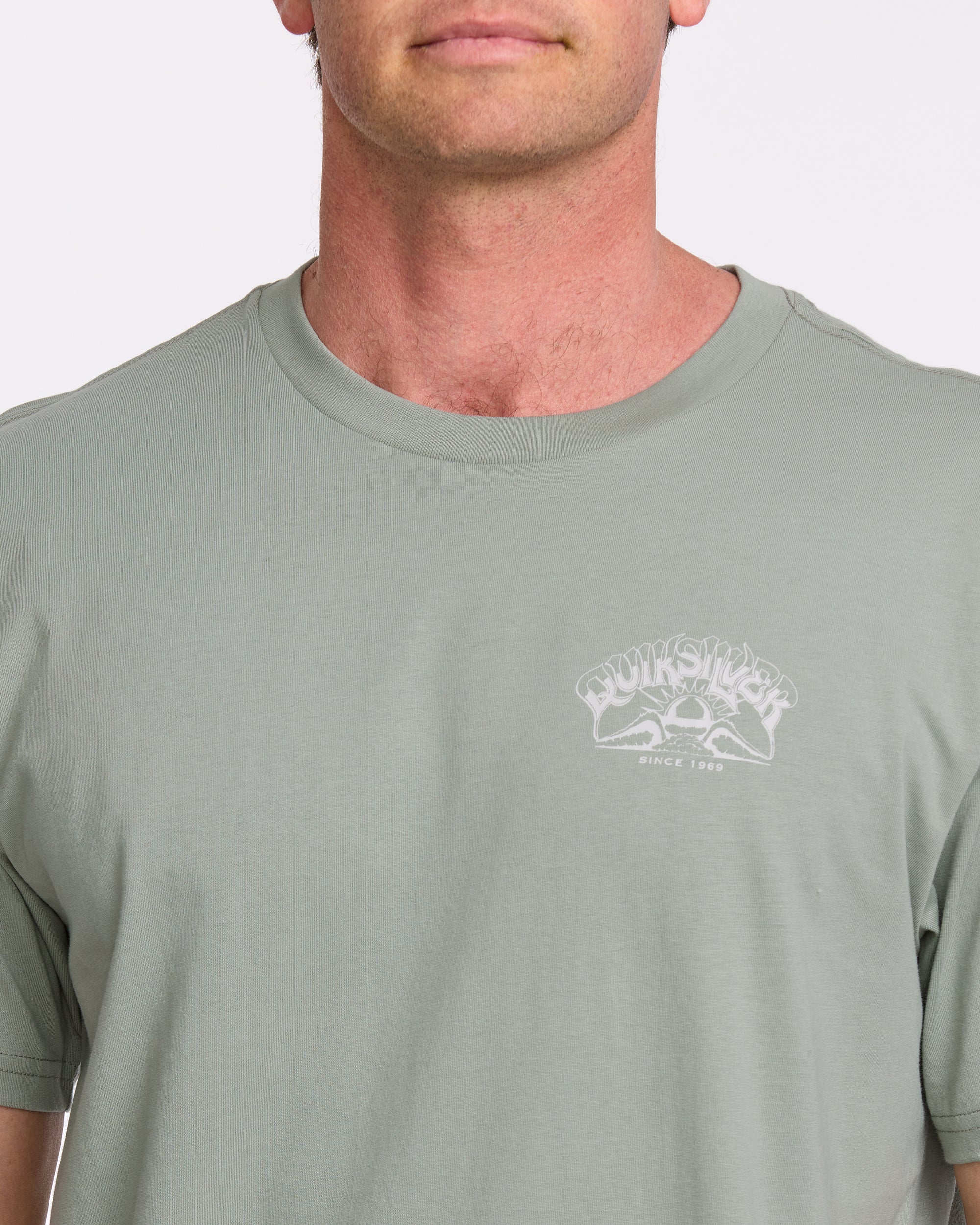 A Frame Arch T-Shirt - Herb - Image 5