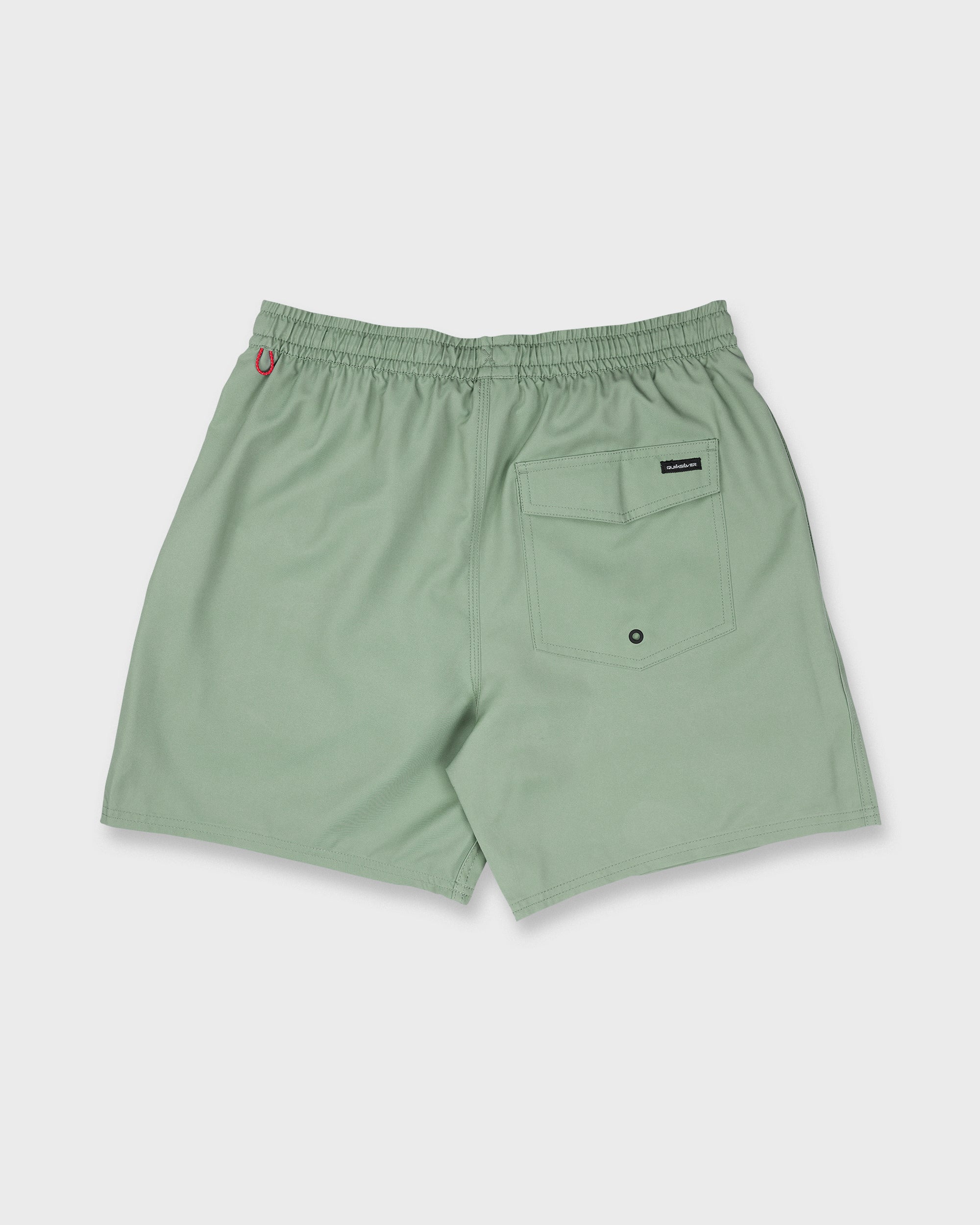 Everyday Solid 17 Swim Trunks - Lily Pad - Image 7